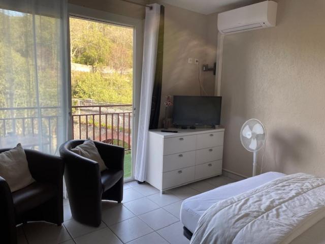 Charmant Studio Situe A Proximite Des Thermes 30 Amélie-les-Bains-Palalda Extérieur photo